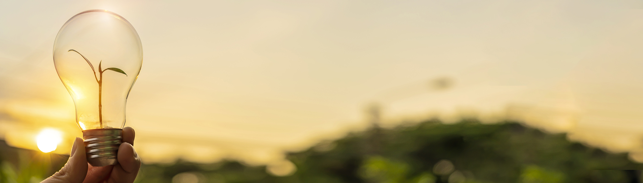 Kennzeichnung Energieverbrauch Pflanze in einer Glühbirne, im Hintergrund ist eine Landschaft zu sehen.